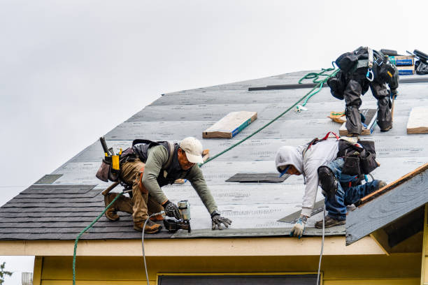 Professional Gutter Installation technician working in Mount Hermon, KY